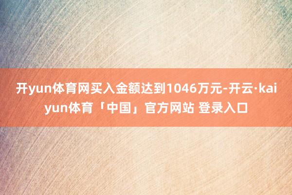 开yun体育网买入金额达到1046万元-开云·kaiyun体育「中国」官方网站 登录入口