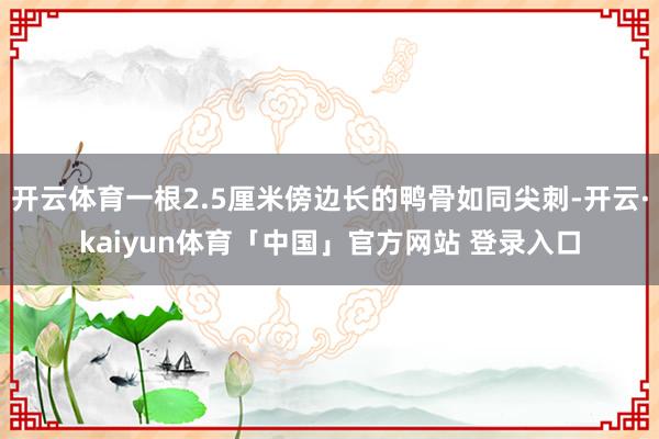 开云体育一根2.5厘米傍边长的鸭骨如同尖刺-开云·kaiyun体育「中国」官方网站 登录入口